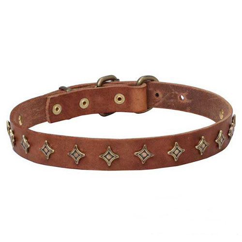 Narrow leather dog collar with old-like bronze decoration