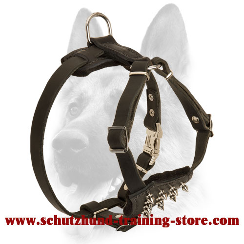 Comfortable and Safe Leather Spiked Harness for Puppies