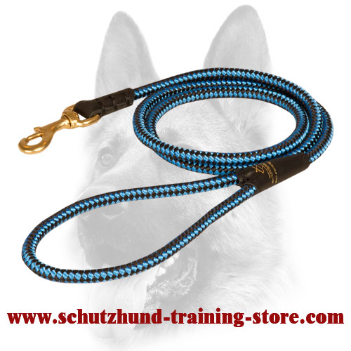 Strong Cord Nylon Leash for Dog Training and Walking