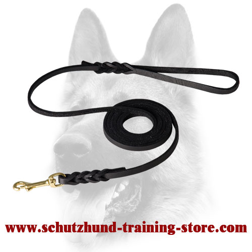 Perfect Show Leather Dog Leash