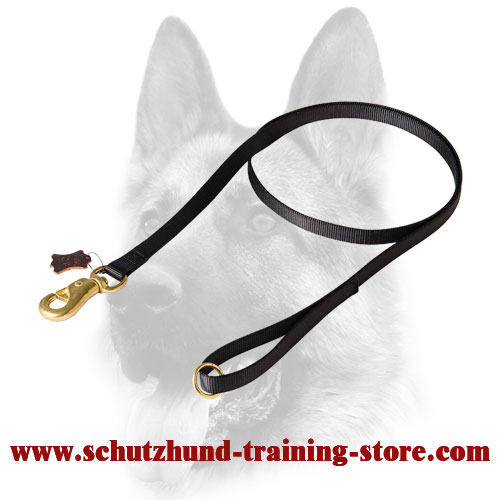 Durable Nylon Dog Training Leash