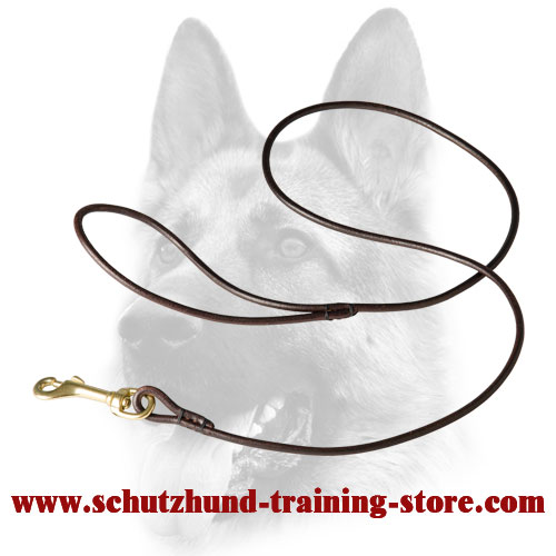 Splendid Round Leather Dog Leash