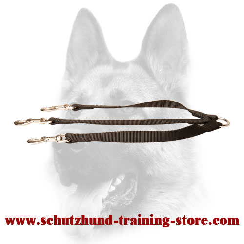 Any Weather Nylon Dog Triple Coupler