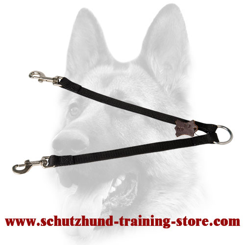Stitched Nylon Coupler for Walking 2 Dogs