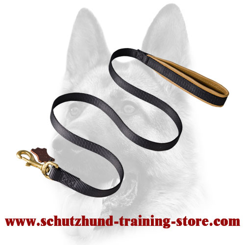 Nylon Dog Leash with Support Material on the Handle