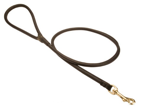 rolled leather leash