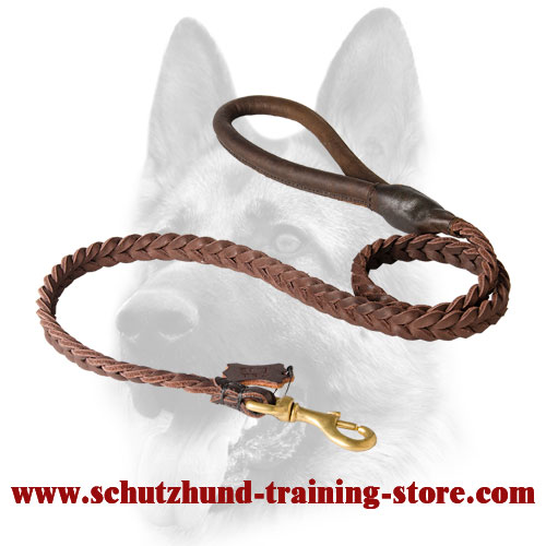 Remarkable Braided Leather Dog Lead with Round Handle