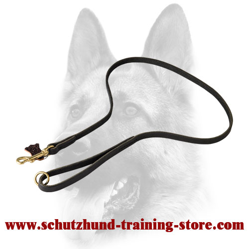 Incredible Latigo Leather Dog Leash