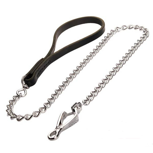 Stunning Dog Lead for Walking and Training