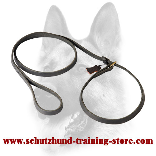 Splendid Leather Choke Collar Combo for Dog Training