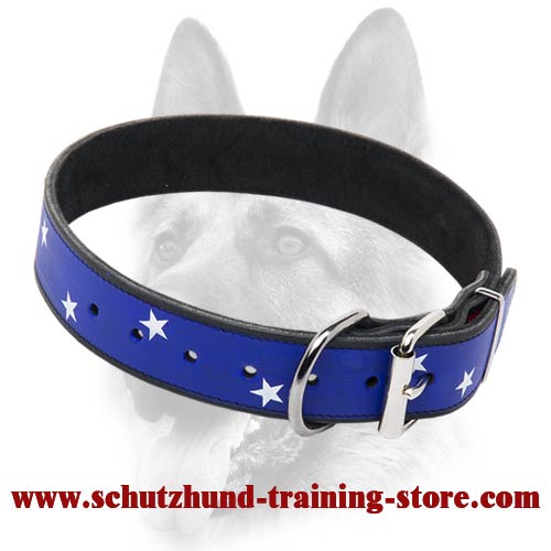 American Flag Dog Collar Handpainted Custom Made Dog Collar for Schutzhund