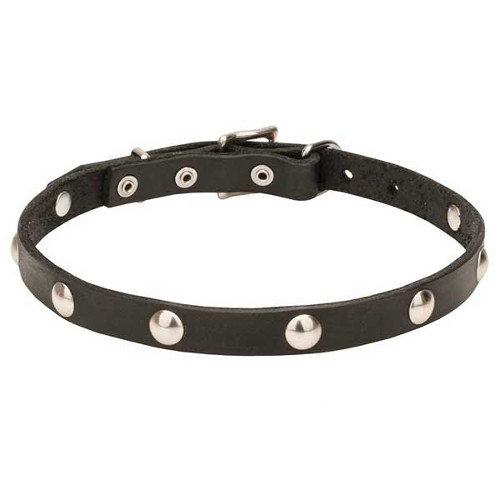 Leather Dog Collar with Half-Ball Chrome Plated Studs