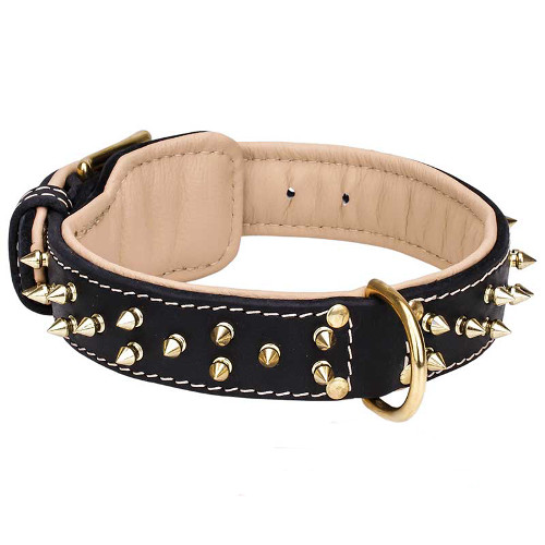 Skillfully Decorated Training Leather Dog Collar for All Dog Breeds