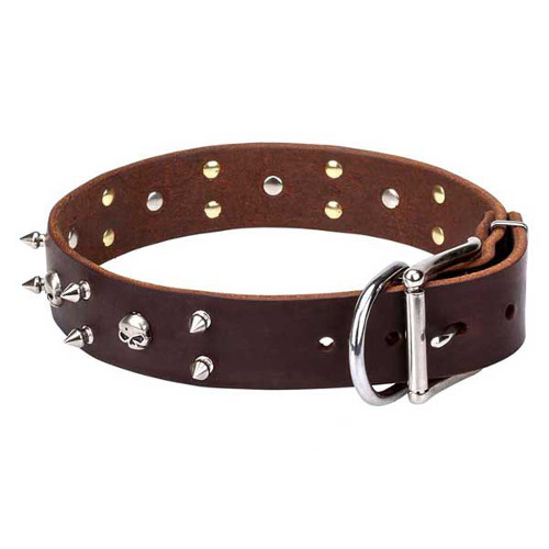 Leather Dog Collar with Reliably Set Skulls and Spikes