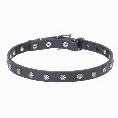 Leather Dog Collar with Nickel Plated Stars
