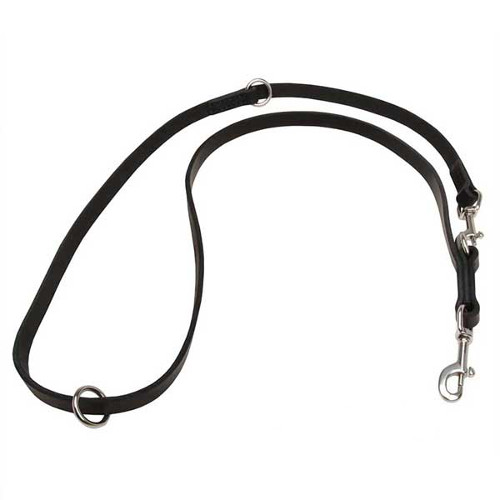 Multifunctional Leather Dog Leash