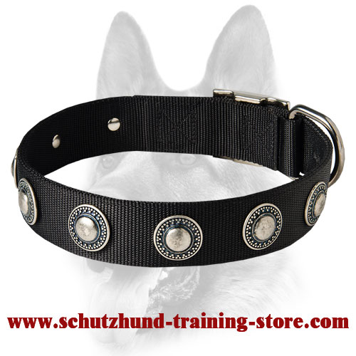 Designer Nylon Dog Collar with Silver Conchos - Extra Strong Training Collar
