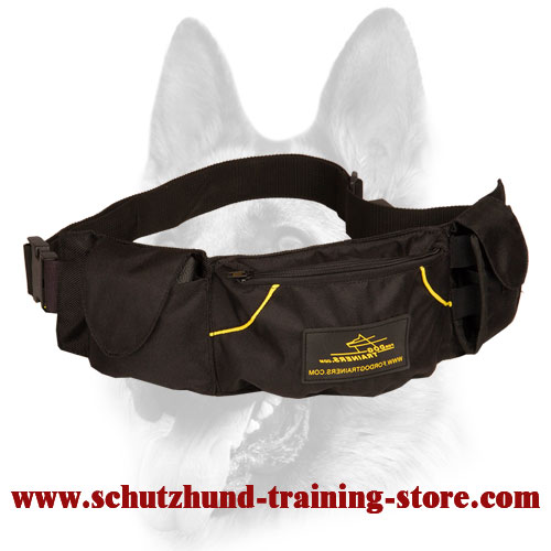 Convenient Dog Training Pouch for Treats and Toys
