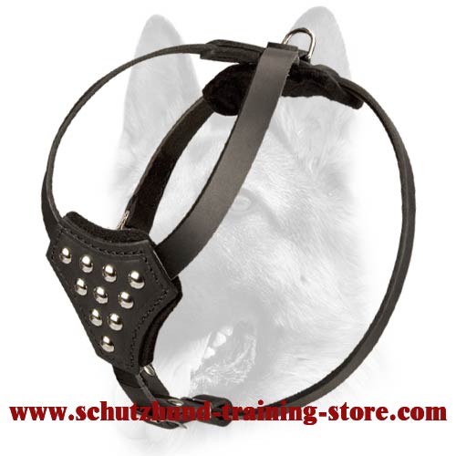 Durable Studded Genuine Leather Puppy Harness
