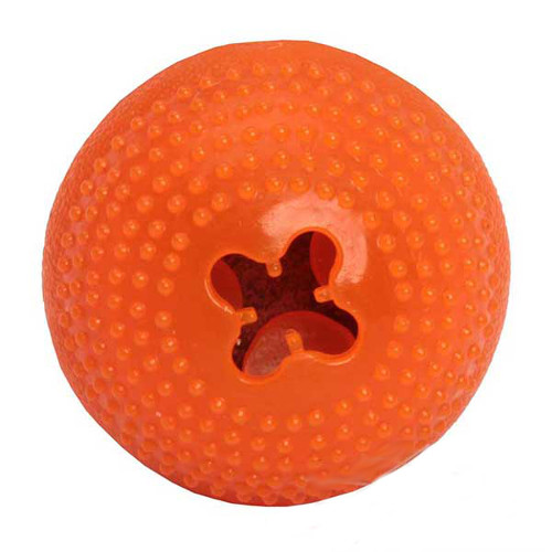 orange dog ball