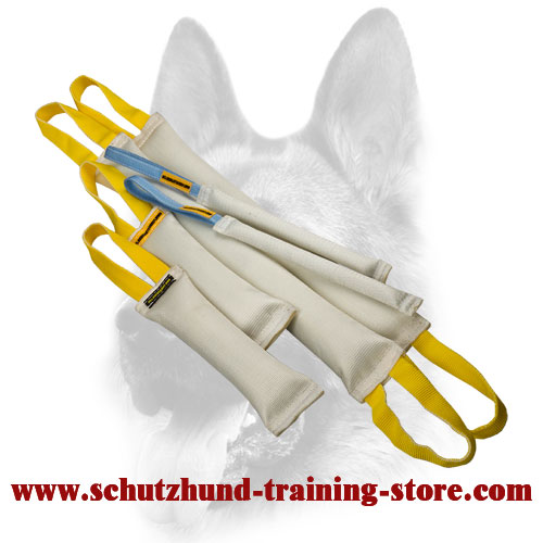 Doubled Bite Training Set for Powerful Dogs