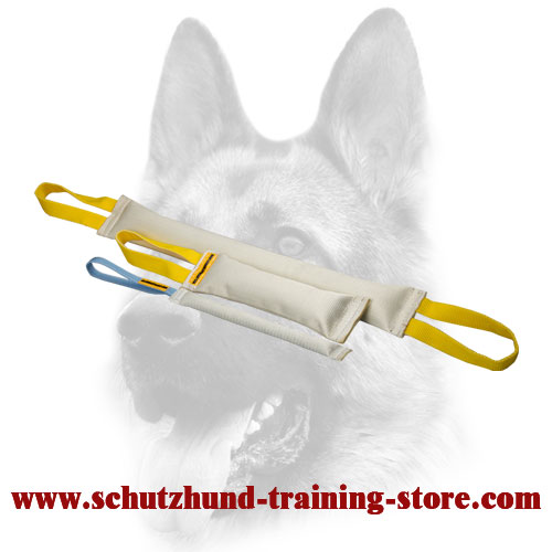 Fire Hose Set of Bite Tugs for Dog Training