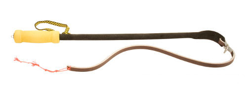 Stunning Agitation Whip for Dog Training