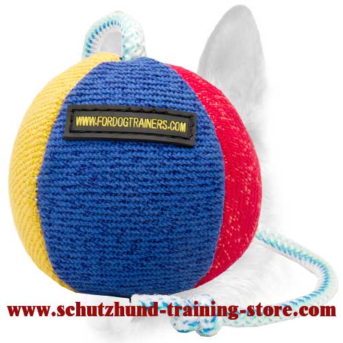 Dog on online a string toy