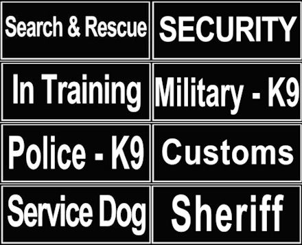 Identification Printed Patches Meant for Dog Collars and Harnesses