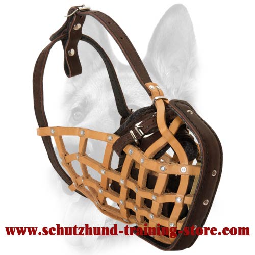 Leather basket muzzle sale