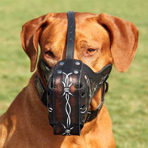 Barbed Wire Painted Leather Dog Muzzle for Attack/Agitation Training