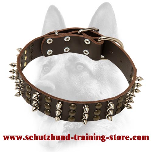 Designer Nylon Dog Collar With Spikes and Studs for Schutzhund Training