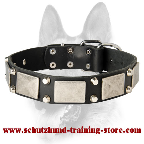 New Look Dog Leather Collar Decorated with Plates and Pyramids