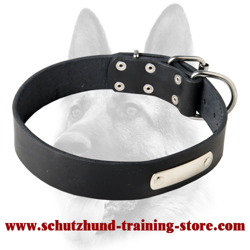 Custom Made Leather Dog Collar with ID Tag for Working Dog Breeds