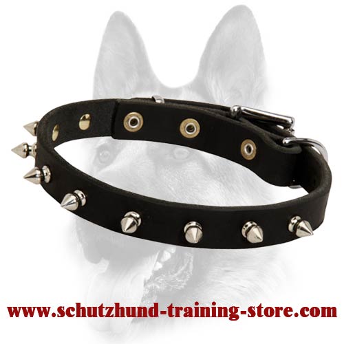 Spiked Leather Decorated Dog Collar For All Dog Breeds