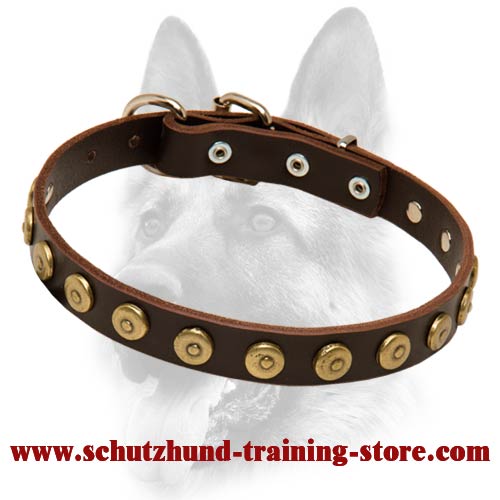 Ornamented Leather Special Dog Collar With Brass Covered Circles