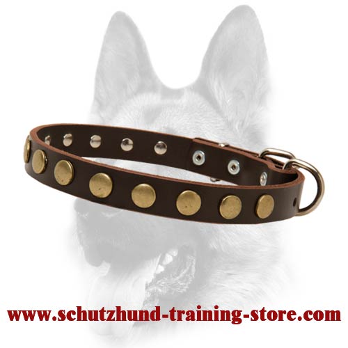 Ornamented Leather Special Dog Collar With Brass Covered Circles