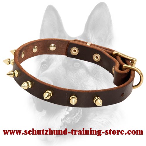 Spiked Leather Superb Decorated Dog Collar for All Dog Breeds