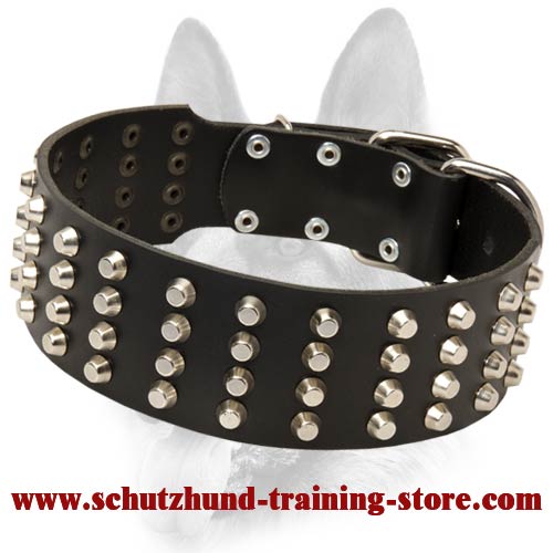 Custom Made Schutzhund Dog Breeds Training Collar