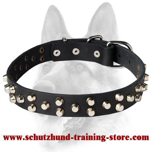 Fancy Design Dog Leather Collar