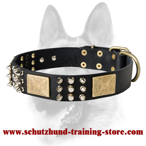 Exclusive Leather Dog Collar with 3 Elements of Decor