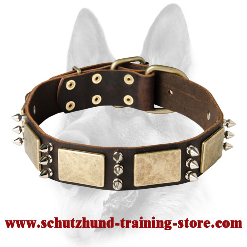 Exquisite Canine Collar for All Dog Breeds - Handmade Working Leather Collar