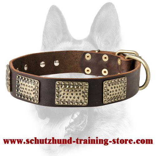 Designer Leather Dog Collar for Working Canines