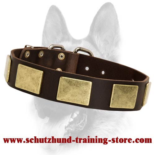 Luxury Leather Dog Collar for Schutzhund training