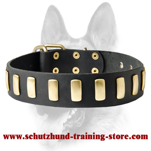 Stylish Leather Dog Collar for Schutzhund Training