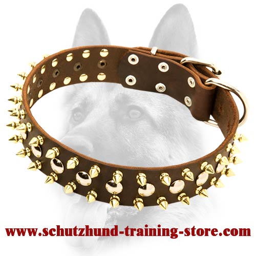 Studded and Spiked Leather Dog Collar With Multiple Capabilities for All Dog Breeds - Click Image to Close