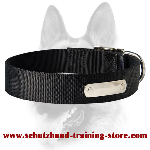 Have 2 Ply Nylon Dog Collar w/h name tag/Metal Buckle