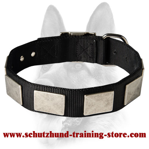 Brand Nylon Collar for Working Dog Breeds - Fancy Collar with Massive Plates