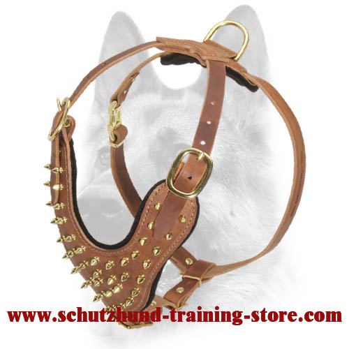 Exclusive Brass Covered Spiked Leather Dog Harness for All Dog Breeds