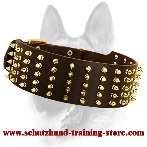 Luxurious Leather Spiked Extra Wide Dog Collar Dog Collar